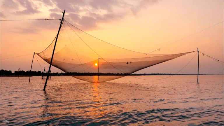 Half-Day-Watching-Sunrise-Over-Tam-Giang-Lagoon-0e9932af-bcdd-43eb-847c-9f7bc04243f7