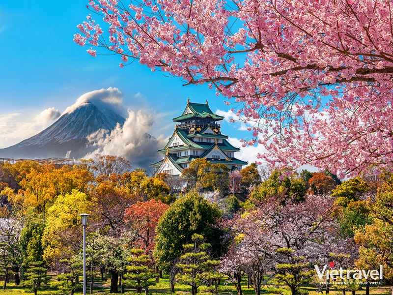 tf__0_11688_lau-dai-osaka-mua-xuan